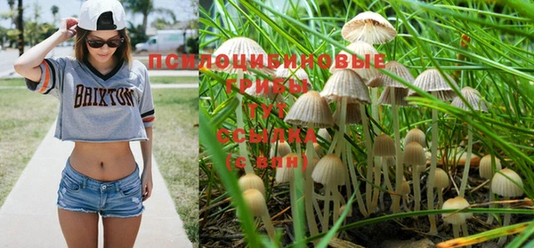марки lsd Железноводск