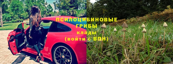 скорость Лиски