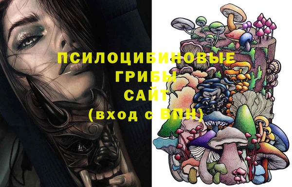 трава Лабытнанги