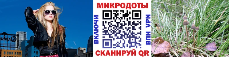 мориарти клад  Можайск  Псилоцибиновые грибы мицелий  наркошоп 