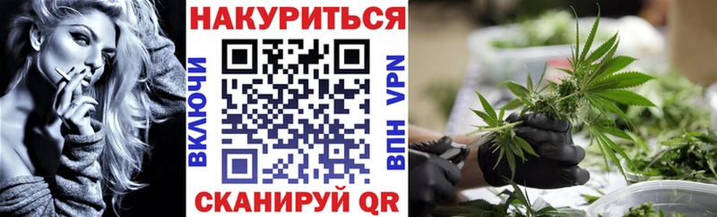 Каннабис OG Kush Можайск